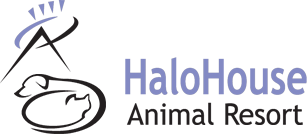 Halo House Animal Resort.com